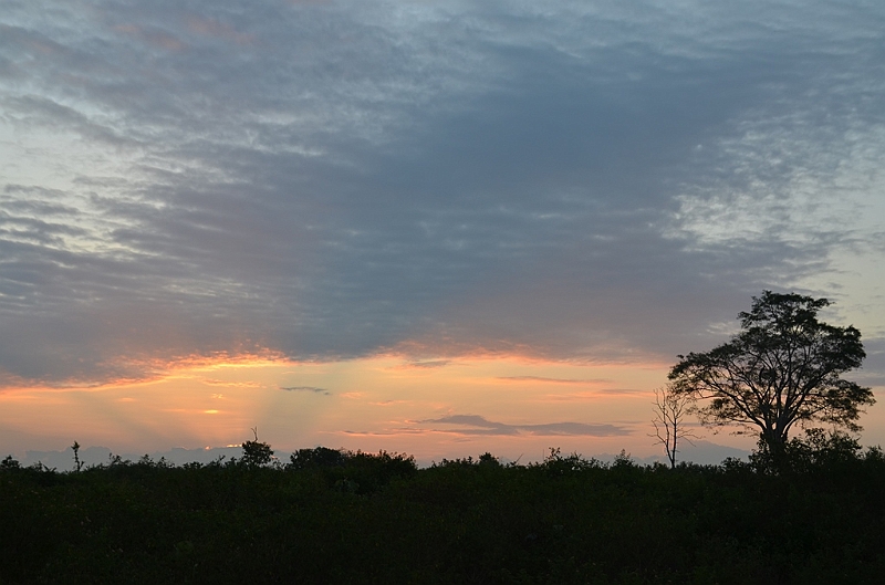 472_Sri_Lanka_Udawalawe_NP.JPG