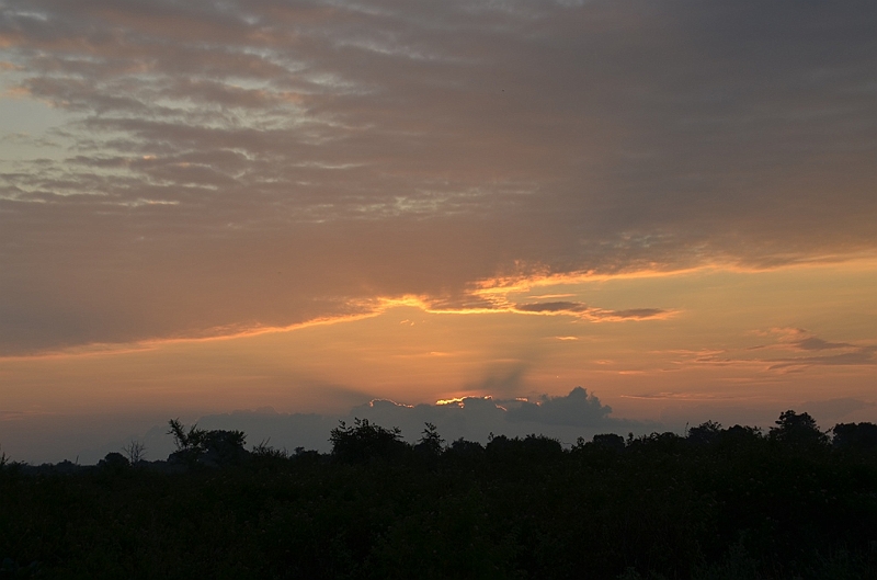 473_Sri_Lanka_Udawalawe_NP.JPG