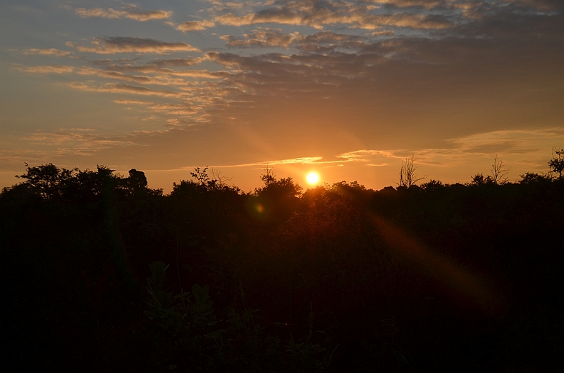 474_Sri_Lanka_Udawalawe_NP.JPG