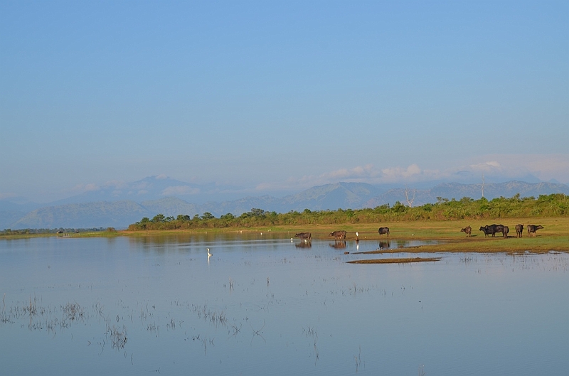 486_Sri_Lanka_Udawalawe_NP.JPG