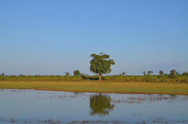 491_Sri_Lanka_Udawalawe_NP.JPG
