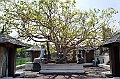 032_Sri_Lanka_Colombo_Seema_Malakaya_Meditation_Centre