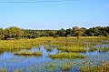 063_Sri_Lanka