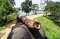 104_Sri_Lanka_Giritale