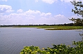 110_Sri_Lanka_Giritale