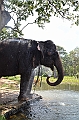 116_Sri_Lanka_Giritale