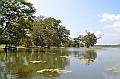 118_Sri_Lanka_Giritale