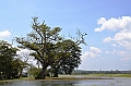 119_Sri_Lanka_Giritale