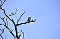 120_Sri_Lanka_Giritale