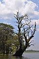 121_Sri_Lanka_Giritale