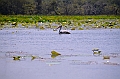 124_Sri_Lanka_Giritale