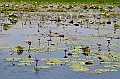 125_Sri_Lanka_Giritale