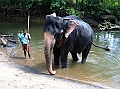 131_Sri_Lanka_Giritale