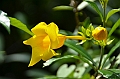 135_Sri_Lanka_Giritale
