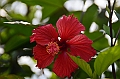 136_Sri_Lanka_Giritale