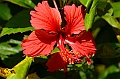 137_Sri_Lanka_Giritale