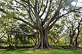 148_Sri_Lanka_Polonnaruwa