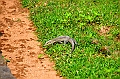 175_Sri_Lanka_Polonnaruwa