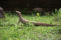 181_Sri_Lanka_Polonnaruwa