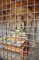 192_Sri_Lanka_Polonnaruwa
