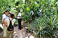 227_Sri_Lanka_Gewuerzgarten