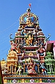 241_Sri_Lanka
