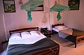 242_Sri_Lanka_Oruthota_Chaltes