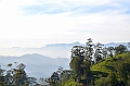 248_Sri_Lanka_Knuckles