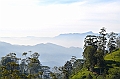249_Sri_Lanka_Knuckles