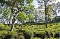 250_Sri_Lanka_Knuckles