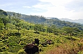 257_Sri_Lanka_Knuckles