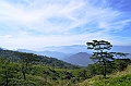 259_Sri_Lanka_Knuckles