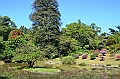 278_Sri_Lanka_Kandy_Botanic_Gardens