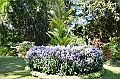 284_Sri_Lanka_Kandy_Botanic_Gardens