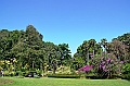 300_Sri_Lanka_Kandy_Botanic_Gardens