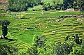368_Sri_Lanka