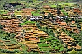 373_Sri_Lanka