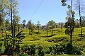 377_Sri_Lanka
