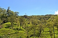378_Sri_Lanka