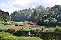 380_Sri_Lanka