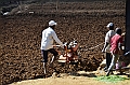 381_Sri_Lanka