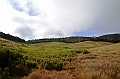 391_Sri_Lanka_Horton_Plains_NP