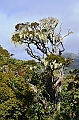 398_Sri_Lanka_Horton_Plains_NP
