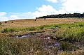 405_Sri_Lanka_Horton_Plains_NP