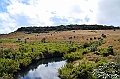 407_Sri_Lanka_Horton_Plains_NP