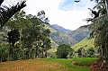 415_Sri_Lanka