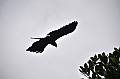 416_Sri_Lanka