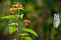 418_Sri_Lanka