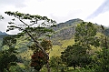 420_Sri_Lanka