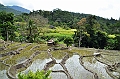 424_Sri_Lanka